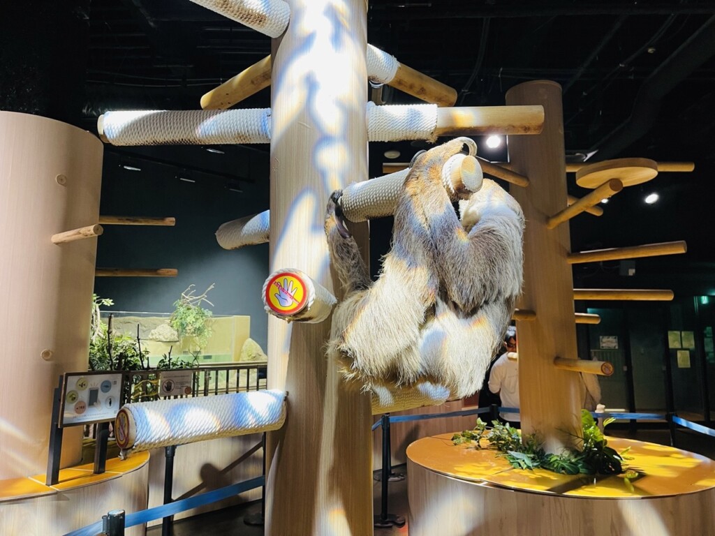 DMM Kariyushi水族館