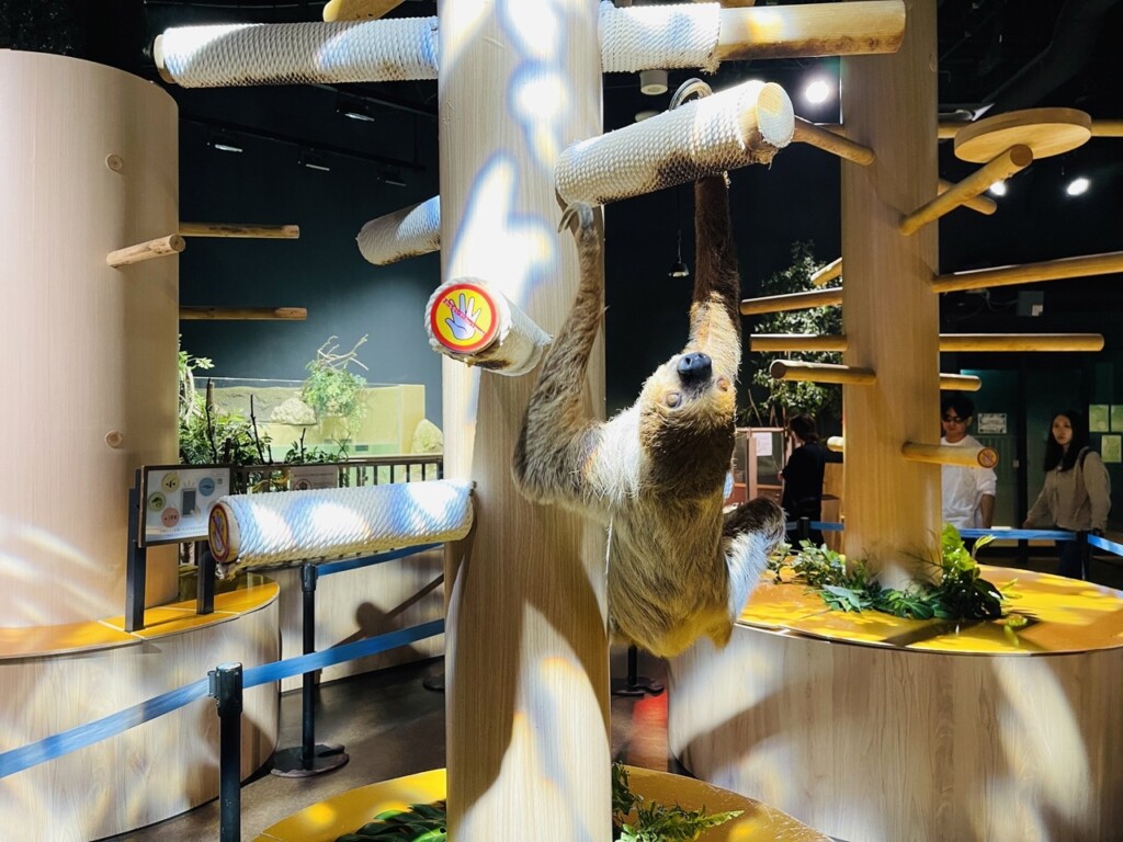 DMM Kariyushi水族館