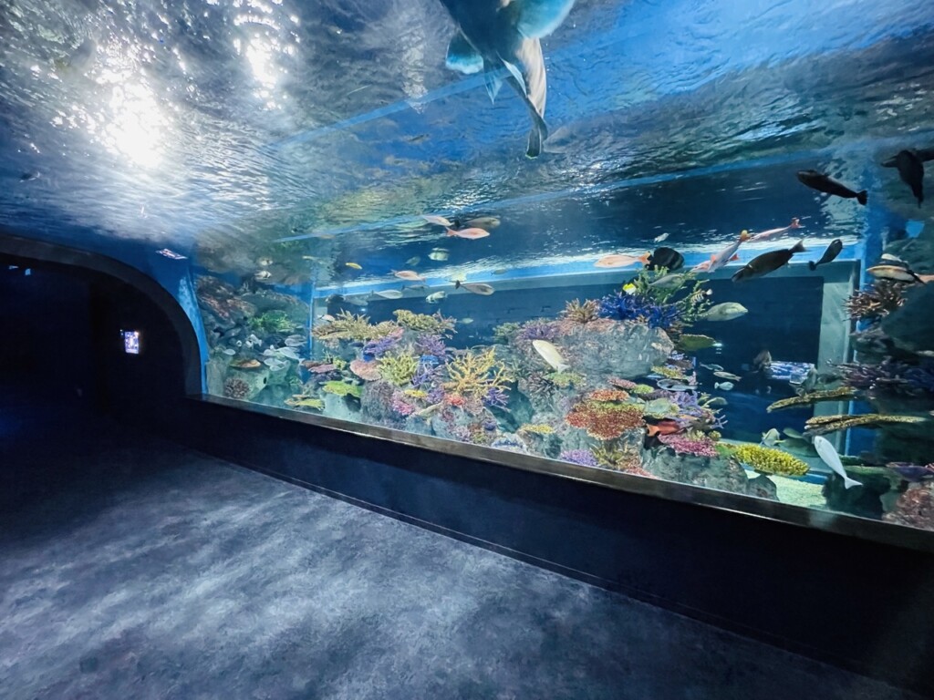 DMM Kariyushi水族館